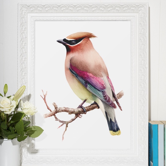 Watercolor Cedar Waxwing Bird Portrait Wall Art Print, Unframed - Vibrant Nature - Picture 7 of 7